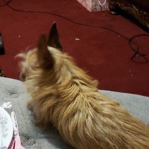 Meet your Posher, Tammy